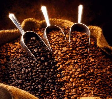 Cofee bean 2 360x320