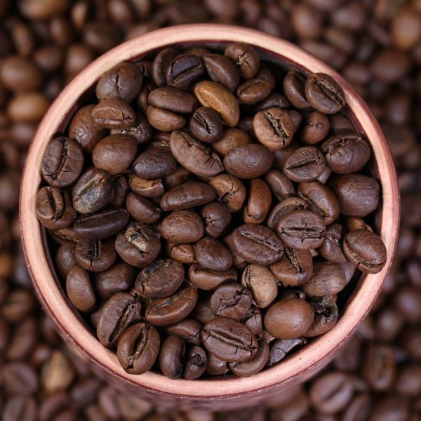 Coffee bean 1 1 600x600