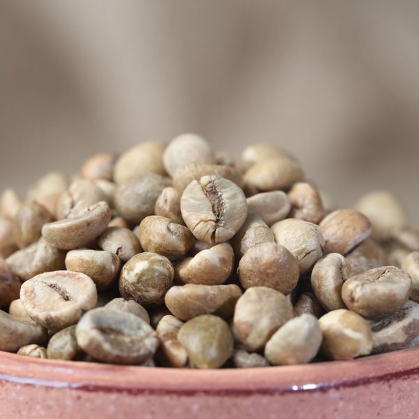 Coffee bean 2 1 600x600