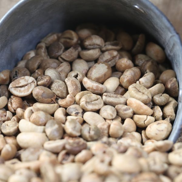 Coffee bean 3 1 600x600