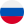Russia Flag 1